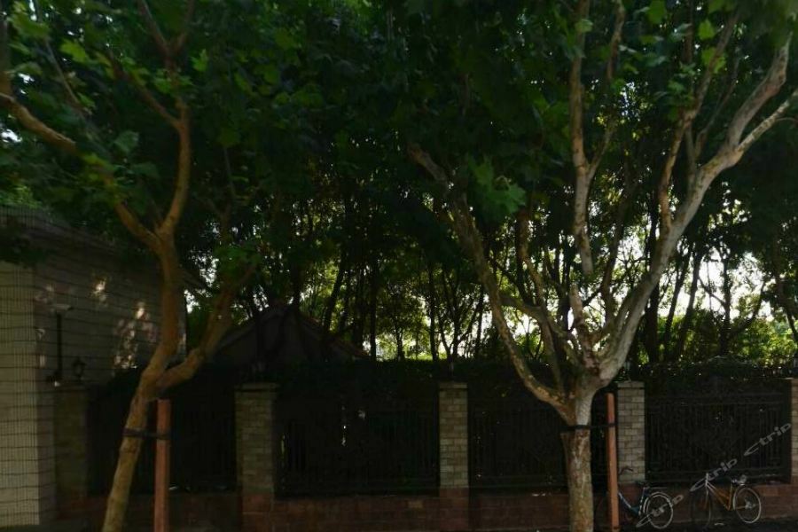 Green Court Residence Jinqiao Diamond Thượng Hải Ngoại thất bức ảnh